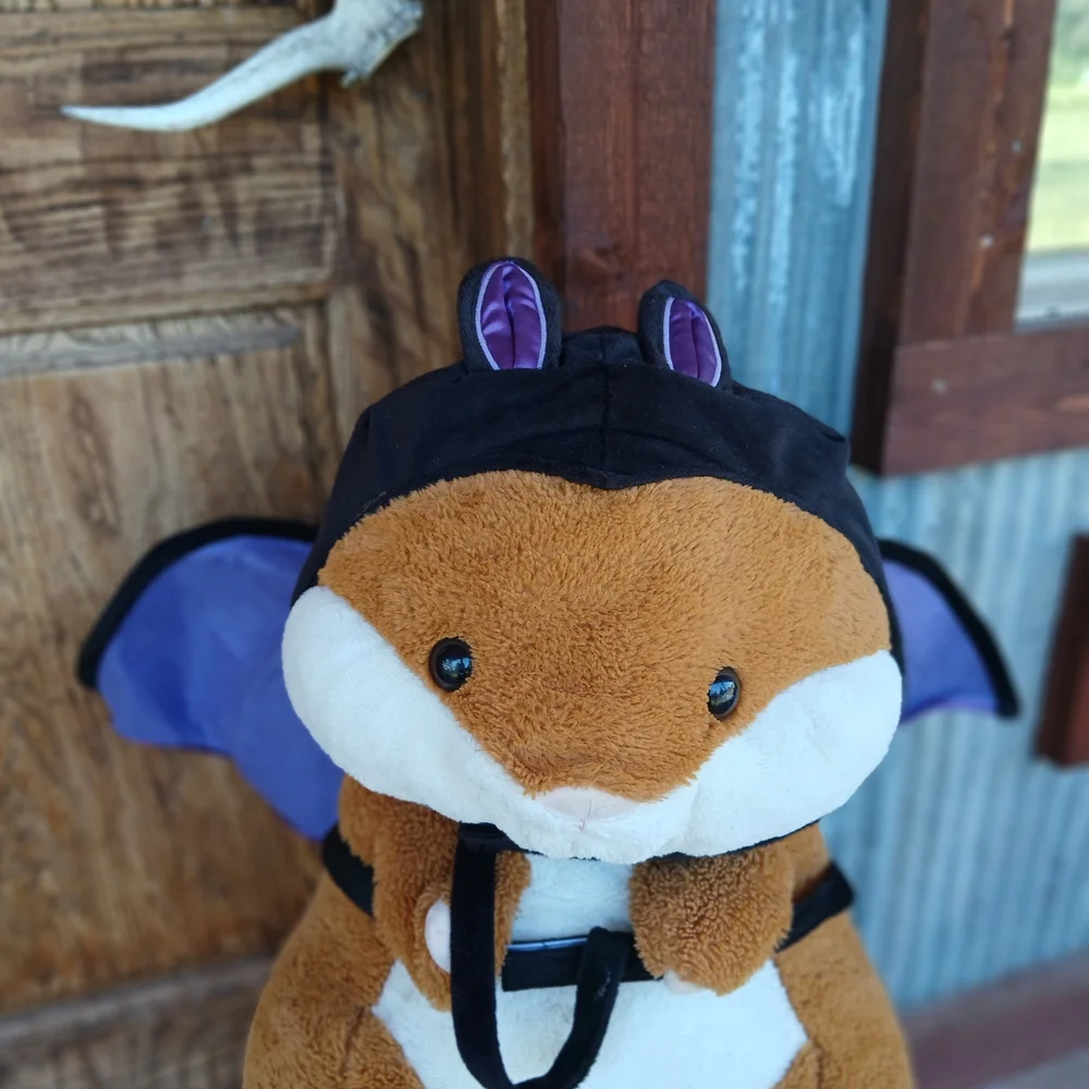 Pet costume adorable bat